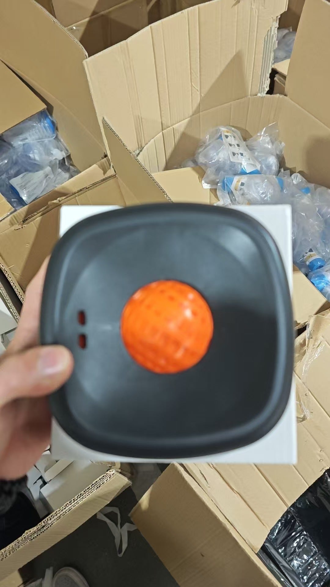 Slow Feeder Dog Bowl with Interactive Ball