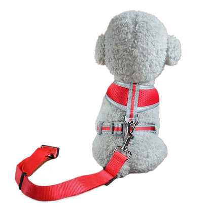 Retractable dog seat belt